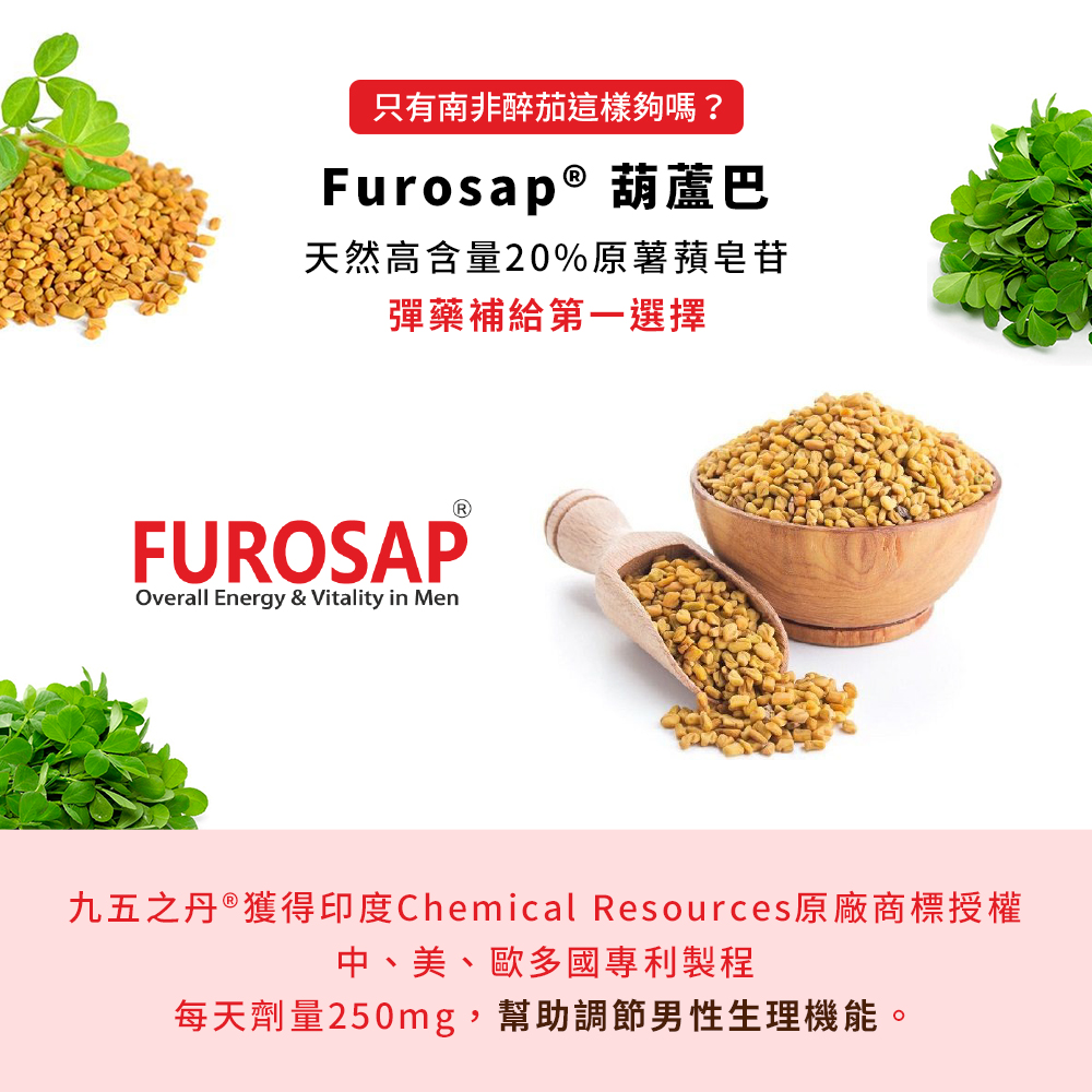 蛟龍.南非醉茄+葫蘆巴