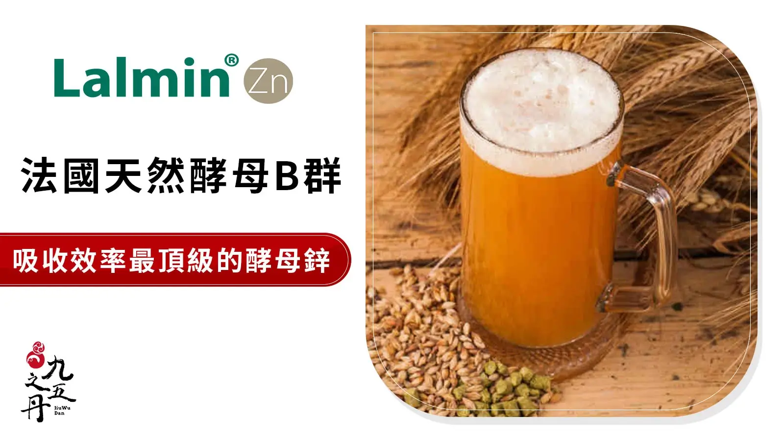 Lalmin 加拿大天然酵母B群鋅