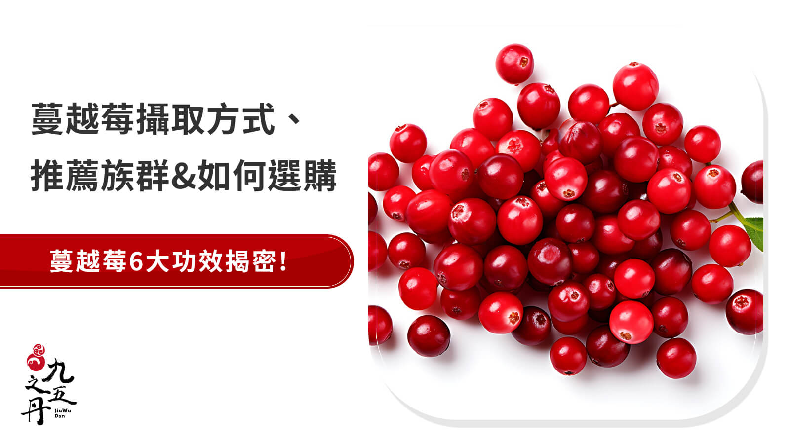 6大蔓越莓功效解析！誰適合補充？推薦族群&保健品選購一覽